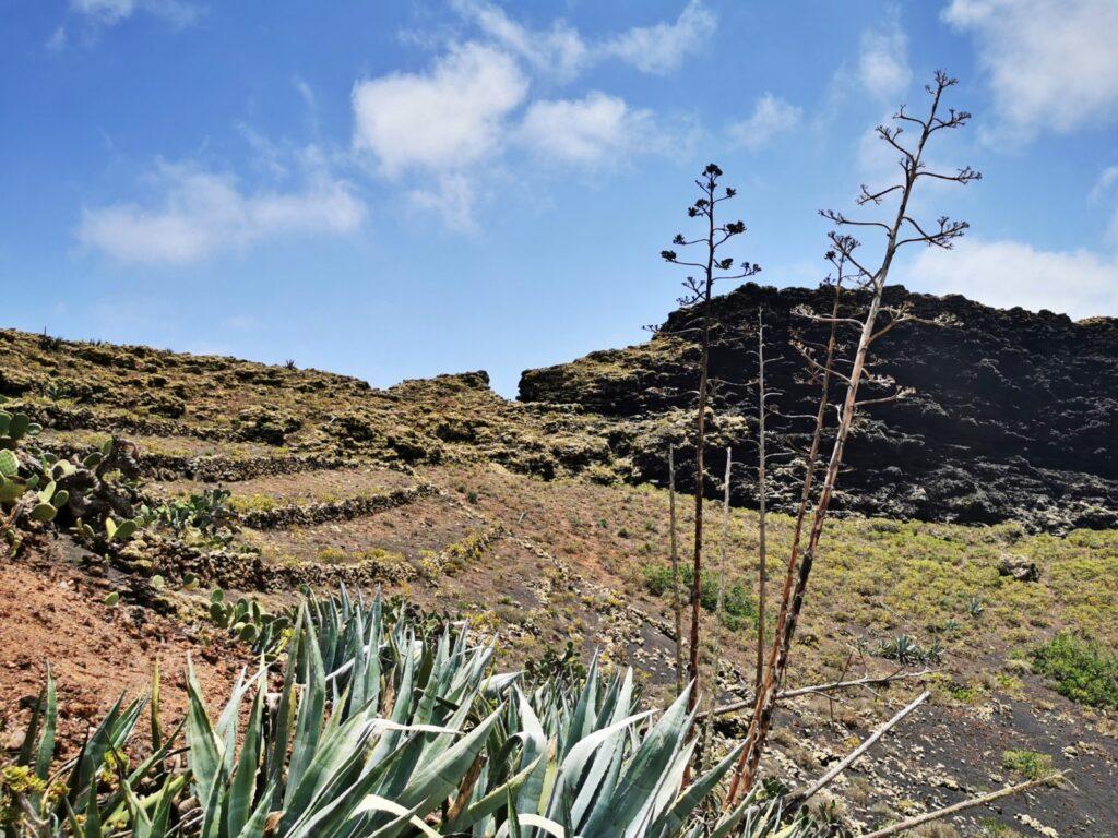 Wandern durch die unglaubliche Landschaft in Lanzarote