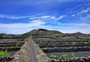 Wanderung Markt Mancha Blanca